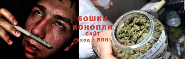 дмт Елизово