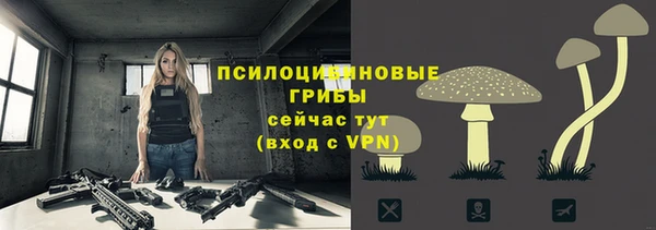 стафф Елабуга