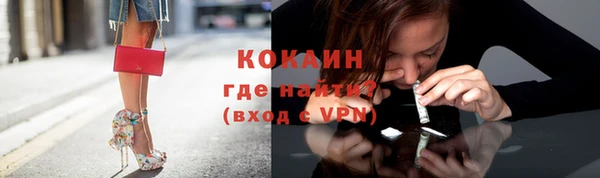 дмт Елизово