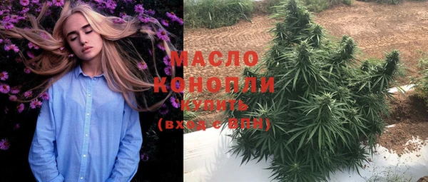 дмт Елизово