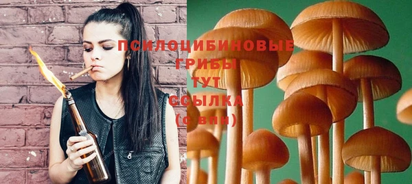 гашик Нестеровская