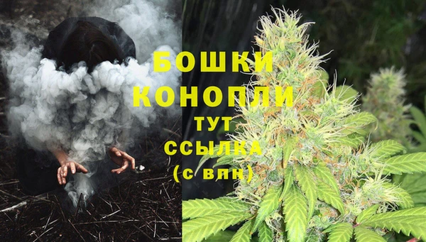 стафф Елабуга