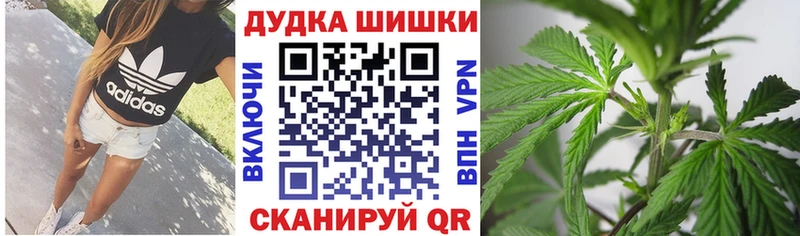 Бошки марихуана White Widow мега как войти Сольвычегодск